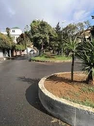 Vente Terrain Alger Bouzareah