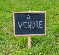 Vente Terrain Alger Draria