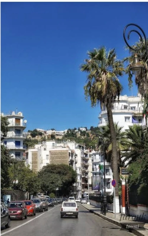 Vente Appartement F6 Alger Alger centre