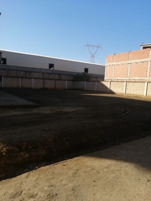 Vente Terrain Blida Chebli