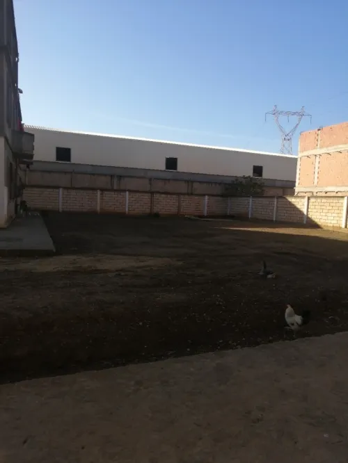 Vente Terrain Blida Chebli