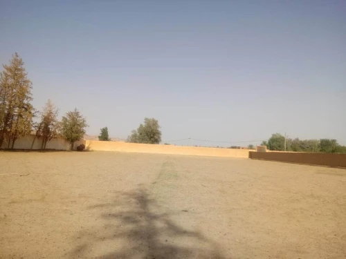 Location Terrain Agricole Laghouat Laghouat