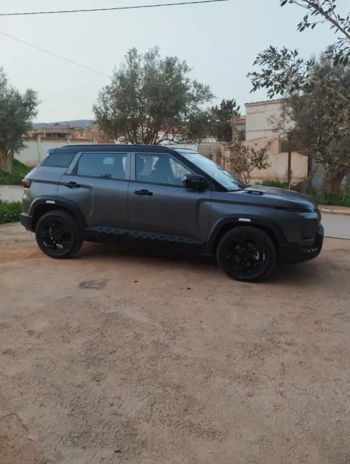 Geely Wild edition 2025 Pro