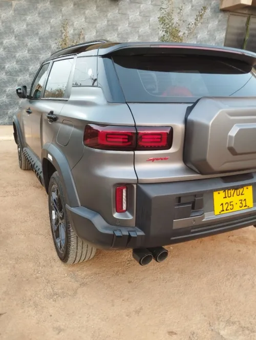 Geely Wild edition 2025 Pro