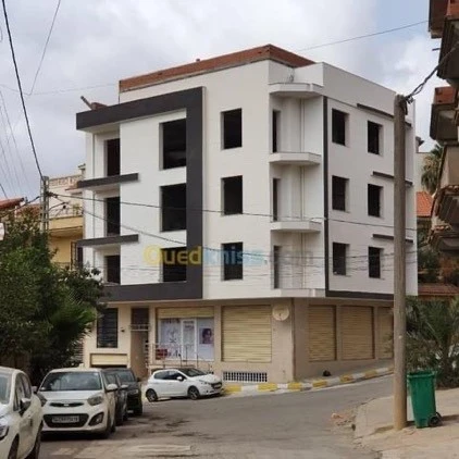 Peinture du Façade en monocouche 