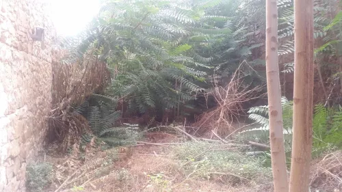 Vente Terrain Tlemcen Tlemcen