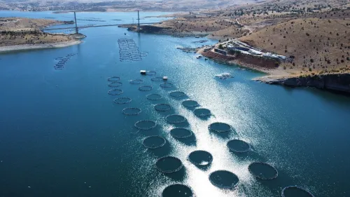 Bureau d'études en aquaculture et en environnement