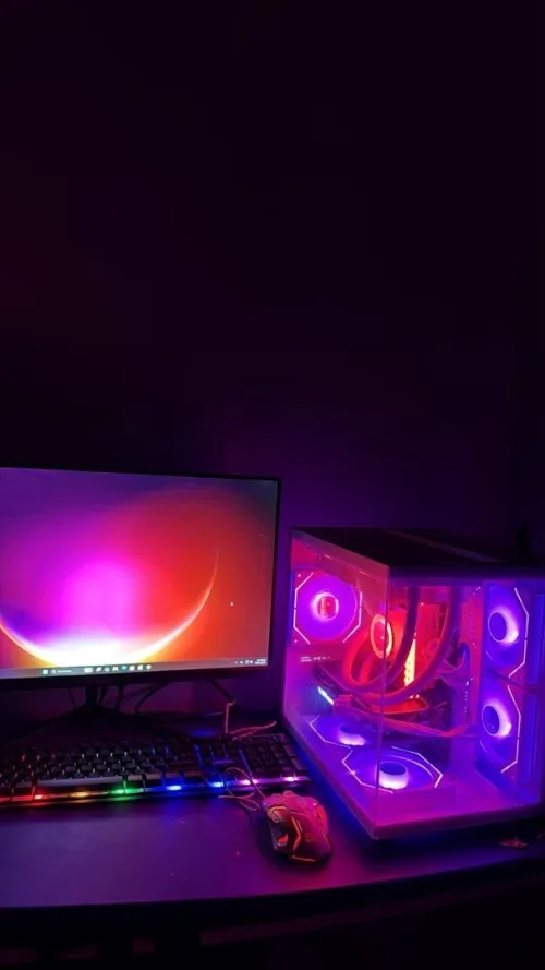 PC gamer