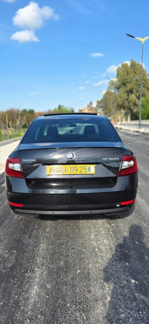 Skoda Octavia 2019 Clever