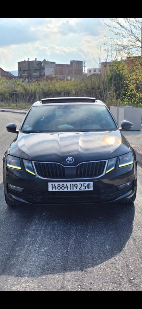 Skoda Octavia 2019 Clever