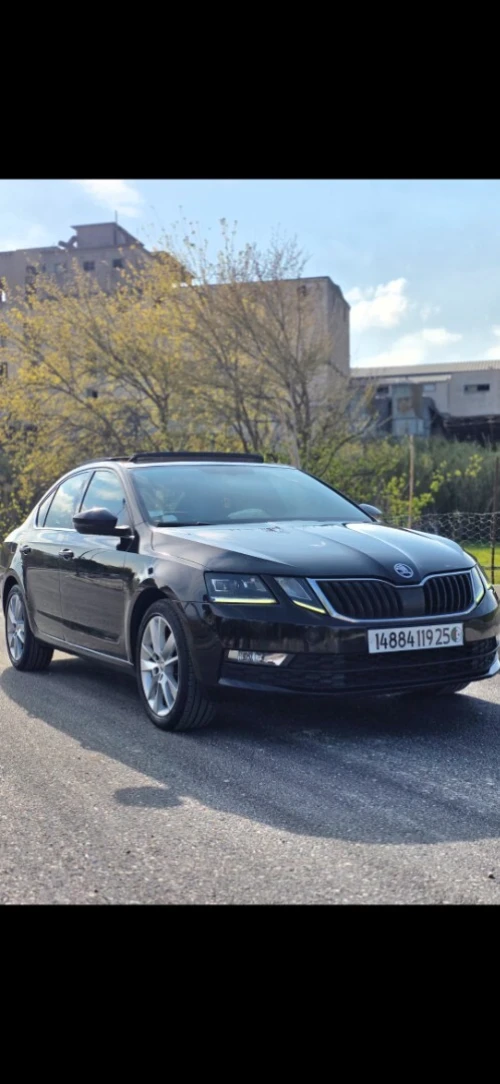 Skoda Octavia 2019 Clever
