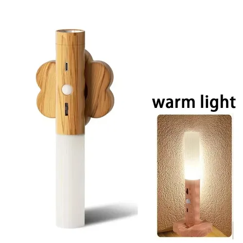Veilleuse LED Rechargeable