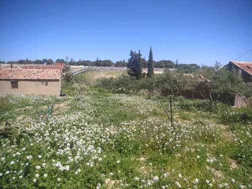 Vente Terrain Bordj Bou Arreridj El achir