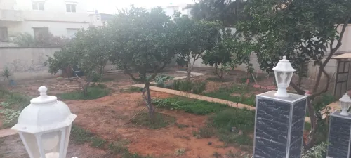 Location Villa Alger El biar