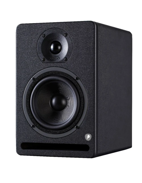 Moniteurs 5'' professionnels  (50 + 25 Watts RMS, bi-amplifiés )