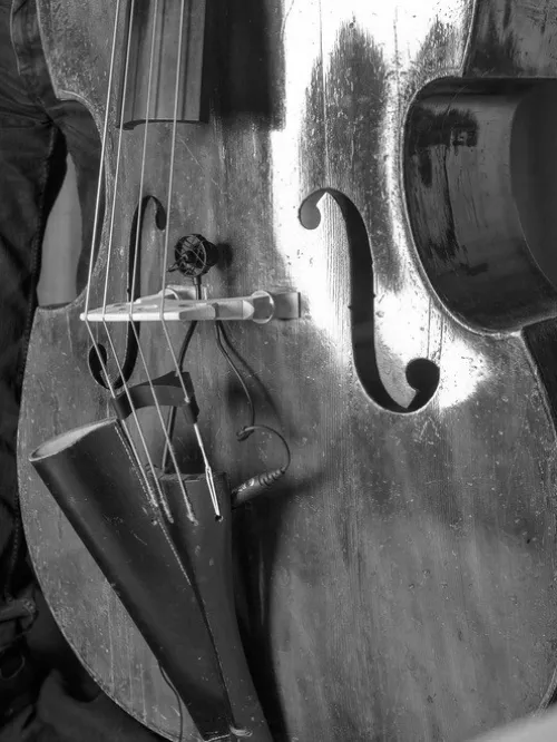 Micros instruments CL21 Lanen Cello