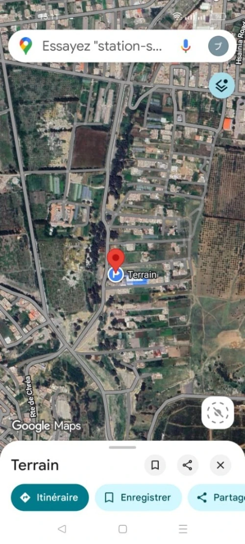 Vente Terrain Blida Bouinan