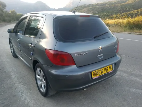 Peugeot 307 2002 XT