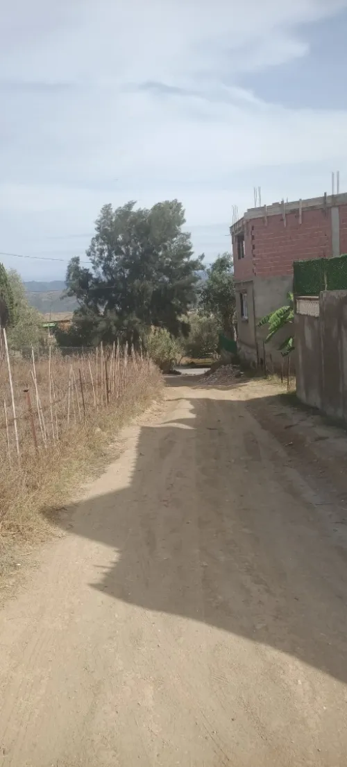 Vente Terrain Skikda Cheraia