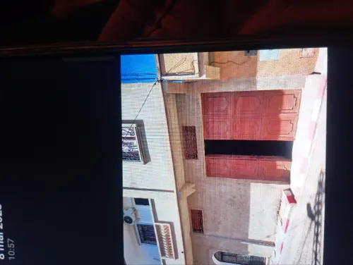 Location Local Tlemcen Mansourah