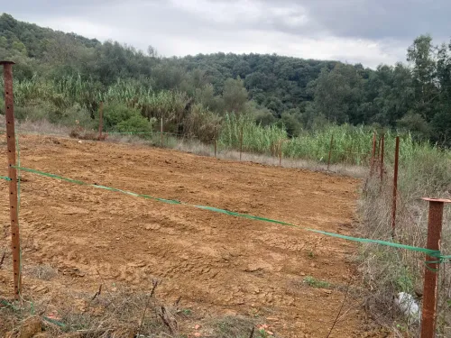 Vente Terrain Boumerdès Beni amrane