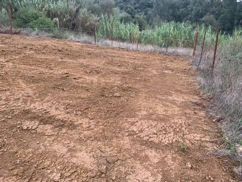 Vente Terrain Boumerdès Beni amrane