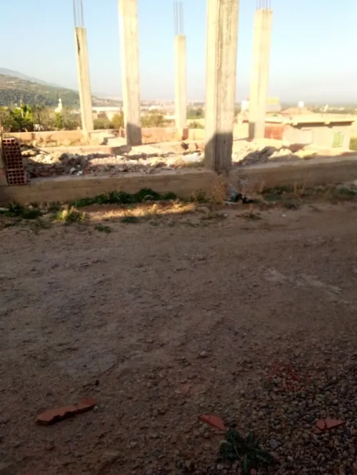 Vente Terrain Blida Bougara