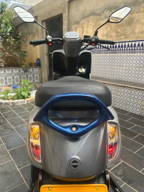 Cuxi Linhai 2023
