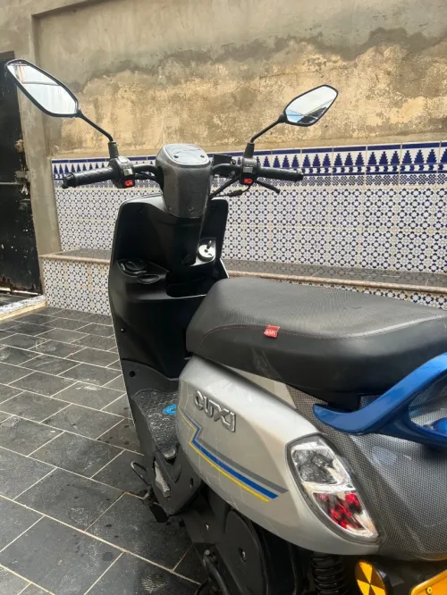 Cuxi Linhai 2023