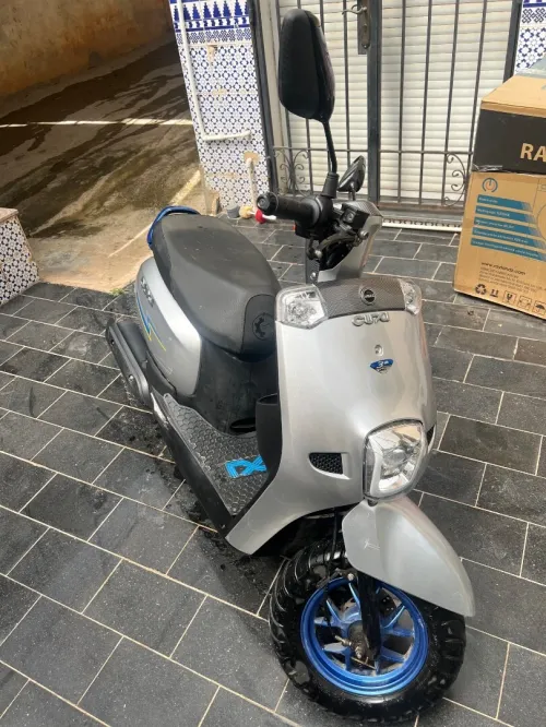Cuxi Linhai 2023