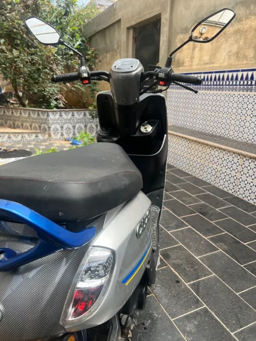 Cuxi Linhai 2023