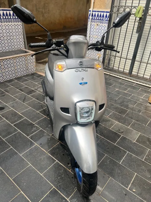 Cuxi Linhai 2023