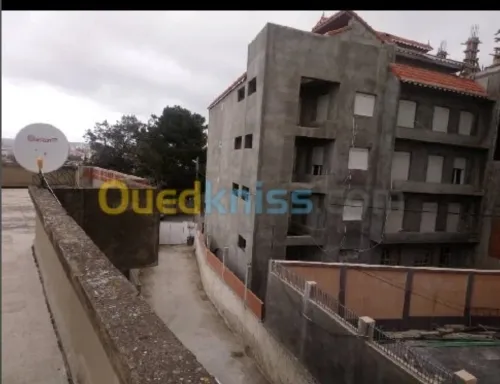 Vente Terrain Alger Cheraga