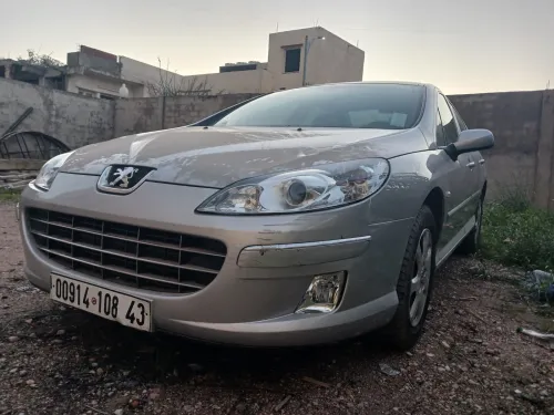 Peugeot 407 2008 407
