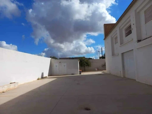 Vente Hangar - Usine Aïn Témouchent El malah