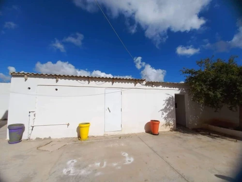 Vente Hangar - Usine Aïn Témouchent El malah