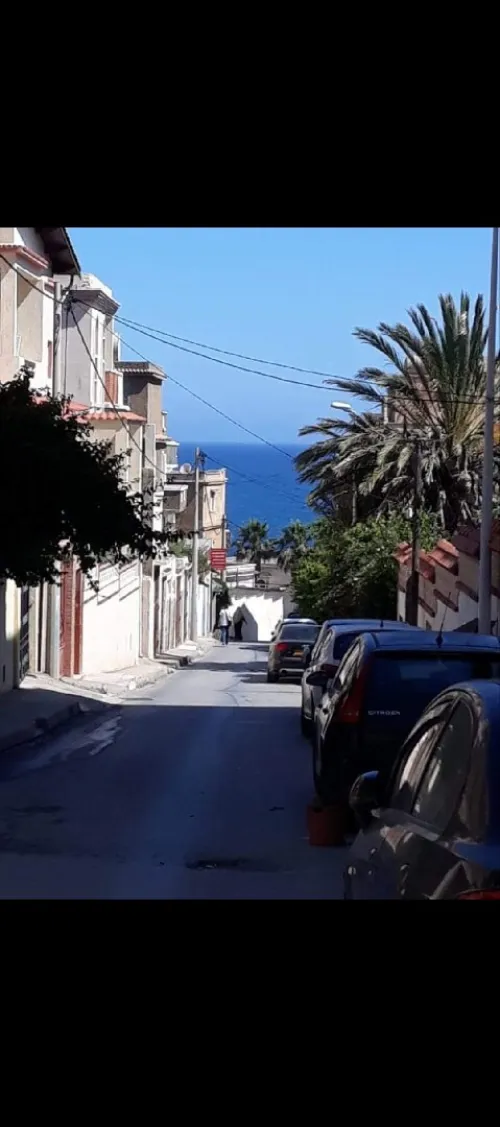 Location Appartement F3 Alger Hammamet