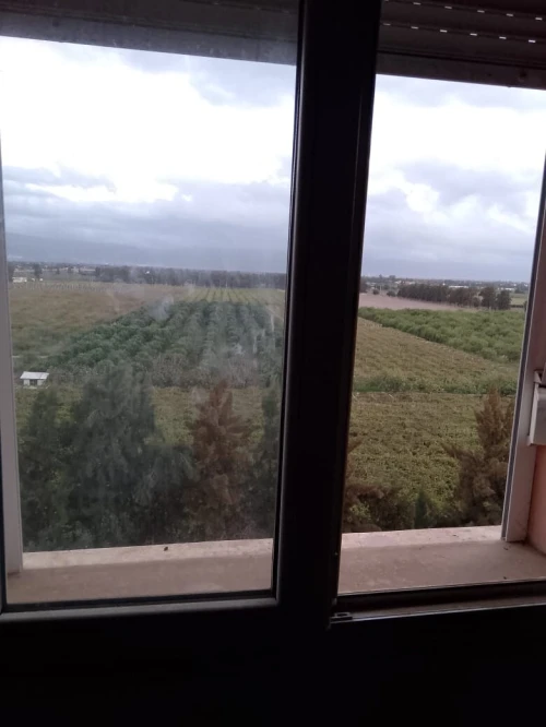 Vente Local Alger Les eucalyptus 13