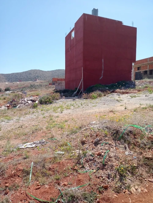 Vente Terrain Tlemcen Souk tlata