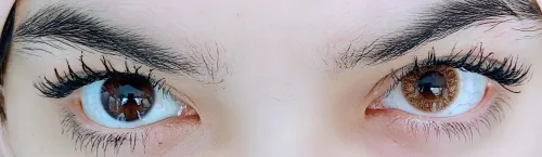 Lentille De Couleur Brown (Marron) عدسات ملونة
