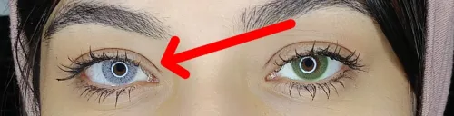lentille soleko perla