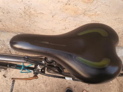 Vélo Go Sport 29 pouces 
