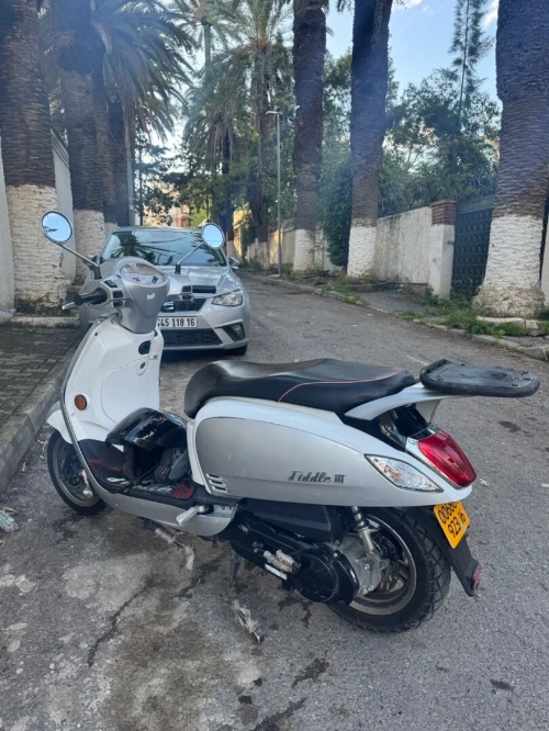 Sym Fiddle 3 2023