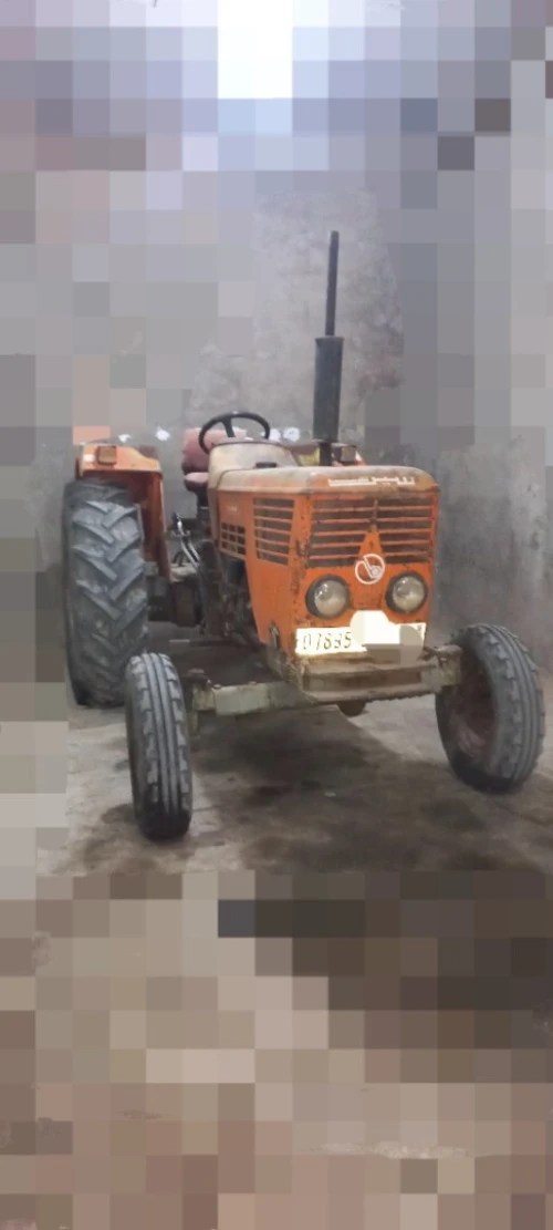 cirta cirta 1987
