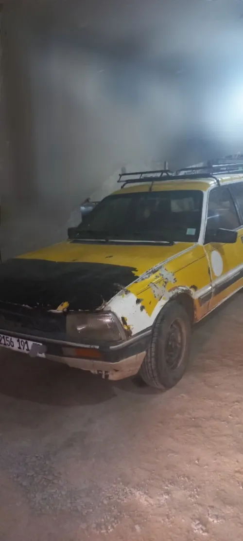Peugeot 505 1991 505