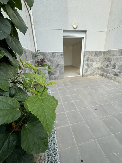 Vente Appartement F4 Alger Dely brahim