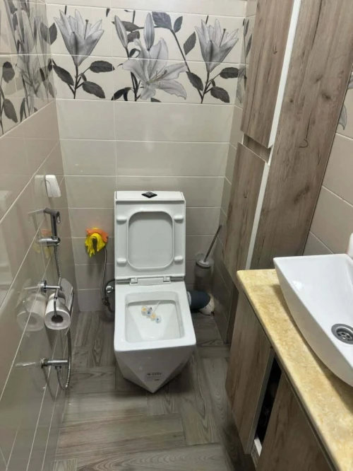 Location Appartement Alger Staoueli