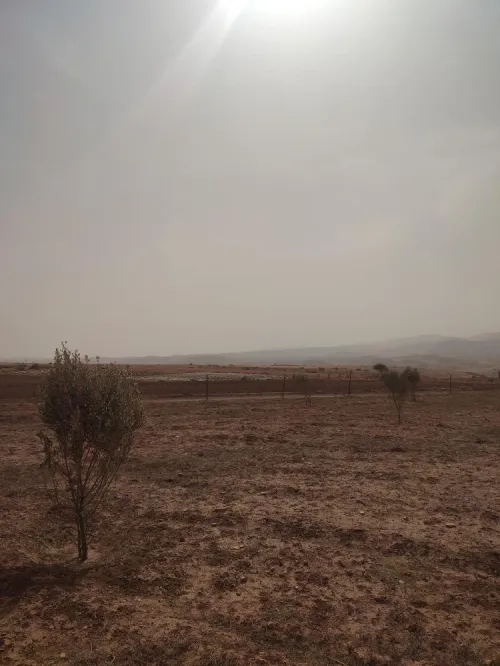 Vente Terrain Tlemcen Ouled riyah