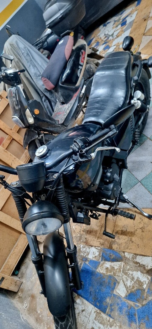 Vms K-light 2024