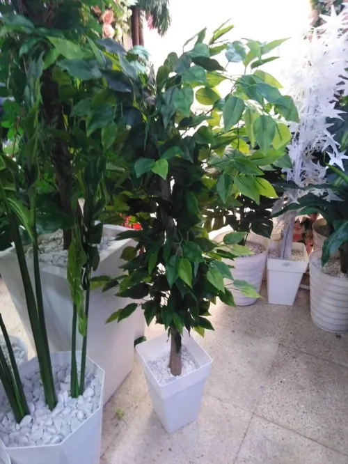Pots et Plantes Artificielles